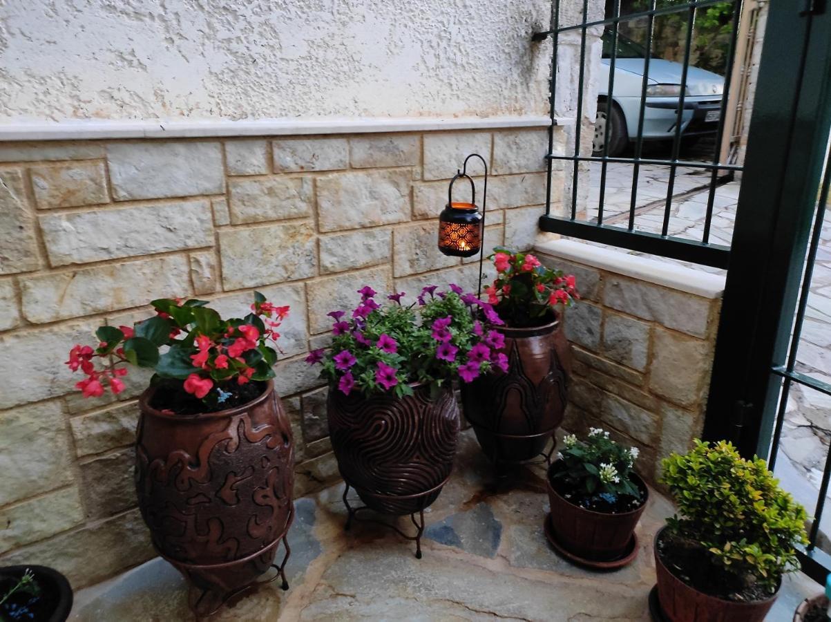 Eleni-Areti Apartment เปฟโกโฮรี ภายนอก รูปภาพ