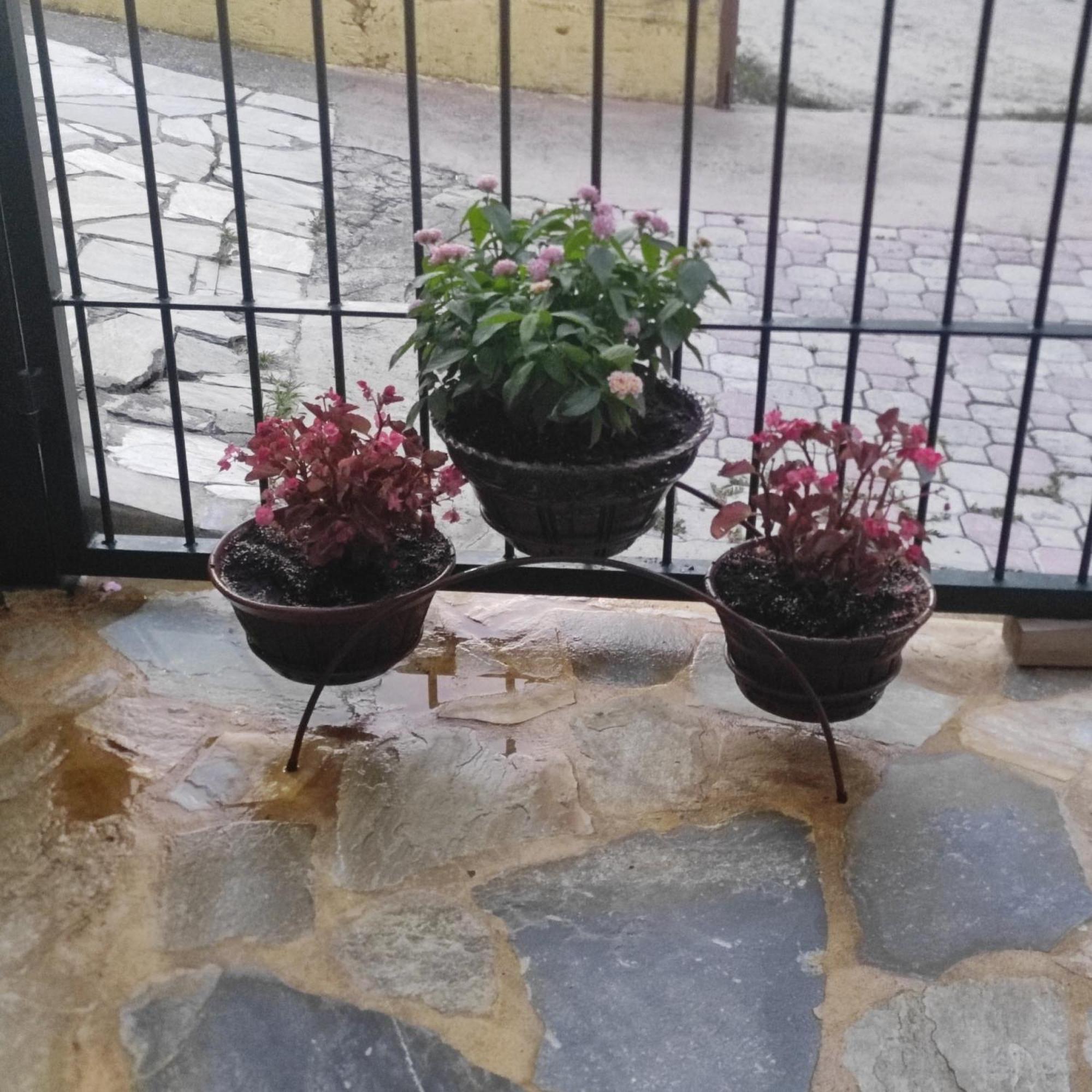 Eleni-Areti Apartment เปฟโกโฮรี ภายนอก รูปภาพ